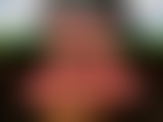 The Gut-Brain Connection: Treating the root cause is the key to optimal health