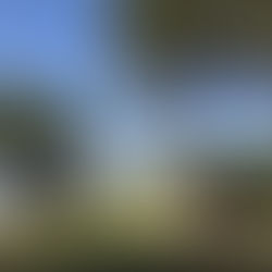 חניוני לילה מומלצים ללא תשלום - יערות הכרמל