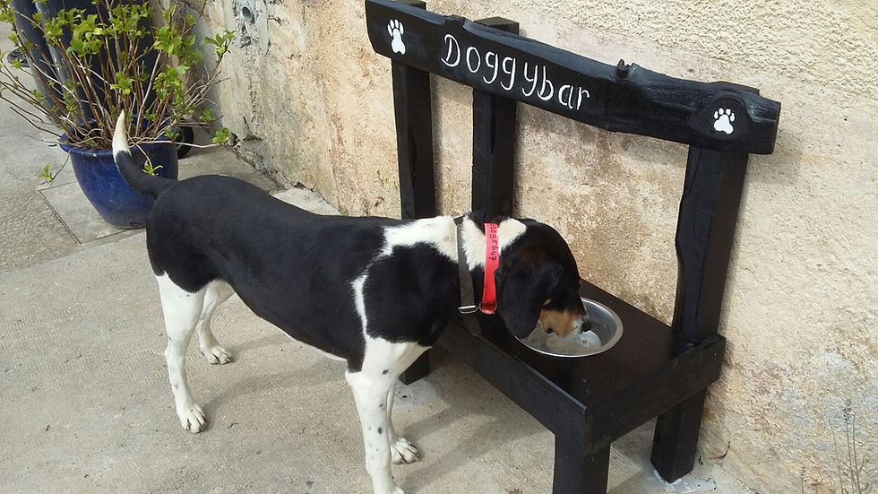 Doggybar