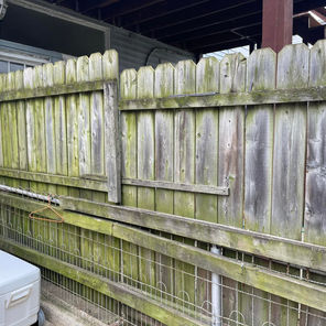 FENCE - BEFORE