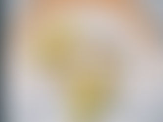 15ème conférence biennale du RINADH : Yaoundé, capitale africaine des Droits de l'homme.