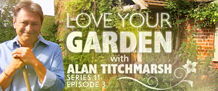 Naomi MacBean love-your-garden-palm-cushions.png