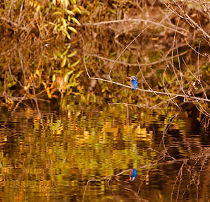 WhatsApp Image 2025-05-14 at 19.05.20.jpeg