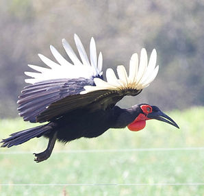 WhatsApp Image 2025-05-12 at 15.42.36.jpeg