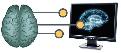 Neuropsychology is a branch of psychology that studies the relationship between the brain and behavior, and evaluates how people with cognitive impairments function on a daily basis.