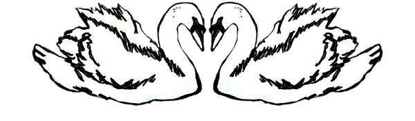 swan_merch_black.png