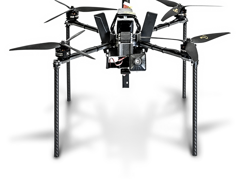 hornet_shadow.png
