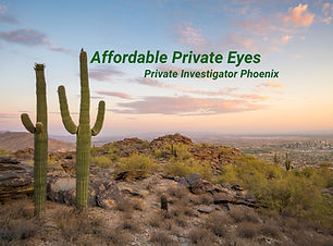 private investigator phoenix 101.jpg