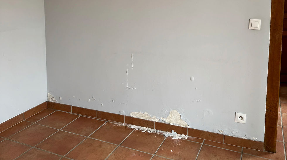 Infiltration d'eau dans le mur de la pièce de vie