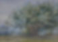 ree