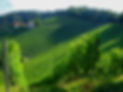 iStock-1288451818.jpg