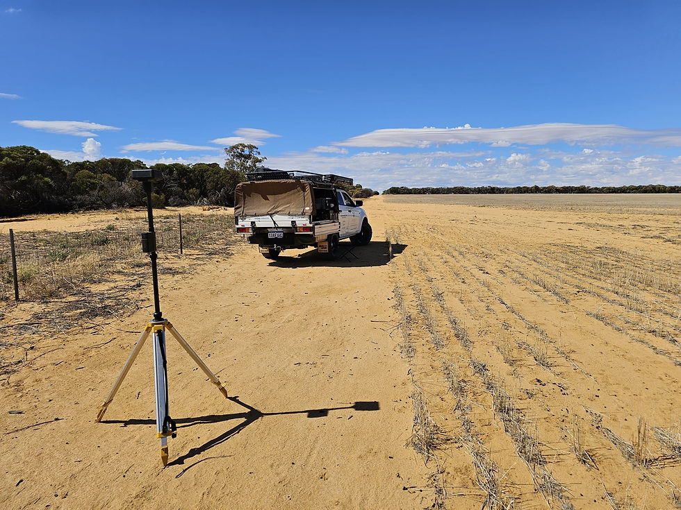 High angle view of lush green farmland