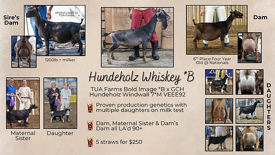 whiskey.jpg