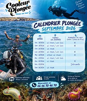 calendrier plongee sept 2026.png