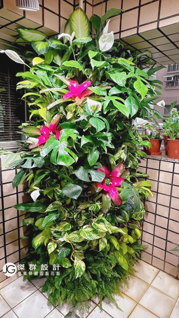 居家室內熱帶雨林風植生牆近拍實景