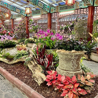花藝設計, 花藝佈置, 花藝師, 台北花店, 台北冠軍花藝, 花店, 空間設計, 空間佈置,室內植物, 戶外植物, 香草植物,