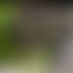 植生牆, 牆面綠化, 圍牆植物, 陽台植物, 庭園綠牆, 綠牆設計, 花牆設計, 植栽牆 ,花藝綠牆, 擬真植物, 人造花, 人造樹, 人造植物牆, 植栽牆, 綠牆, 花牆, 垂直花園, 植物牆設計費用,