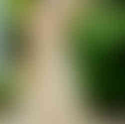 台北花藝課程推薦 花藝體驗台北 繁盛花道 新生公園台北典藏植物園 花藝課程費用 長期花藝課程 歐式花藝課程 基礎花藝課程 台北花藝證照課程 芝加哥花藝 美國花藝學院  插花 商業空間設計 婚禮佈置 企業課程規劃課程指導 活動佈置 謝垂展花藝教室 JG Flower傑群花藝設計 台北花店 傑群設計有限公司