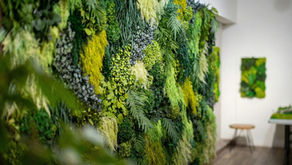 永生葉植物牆實際案例