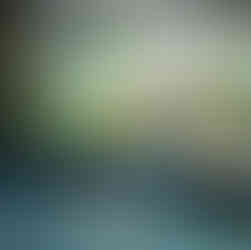 傑群設計以園藝造景工法整合魚缸與立面綠牆