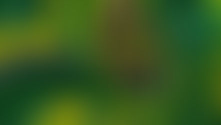 2025建材展年度回顧四大熱門植生牆