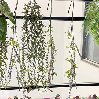 人造花永生花植物推薦 吊頂花 moss馴鹿苔草牆 蘚苔草牆面裝潢藝術 室內裝飾植物牆設計 永久假花佈置 公設佈置 商業空間 人造植栽佈置 接待中心佈置 樣品屋佈置 假植物假花哪裡買 假植物假花訂做 專業景觀園藝花藝設計 到府施工規劃維護 台北廠商 台北園藝景觀設計 台北假花 台灣冠軍花藝老師 植生牆 植物牆 綠牆 免費估價