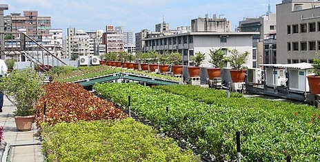 ESG綠建材改造-經濟部使用的綠屋頂，節能減碳綠建築首選，全國綠屋頂達人團隊