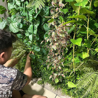 植生牆 牆面綠化 圍牆植物 陽台植物 庭園綠牆 綠牆設計 花牆設計 植栽牆 花藝綠牆 植栽牆 綠牆 花牆 垂直花園 植物牆設計費用 立體花園 金獎布花園 3D花園