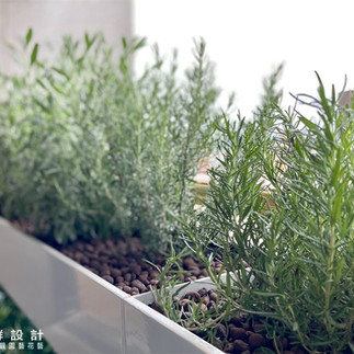 陽台設計 陽台花園 陽台植物 陽台造景 空中花園 香草花園 園藝景觀設計 頂樓景觀設計 陽台景觀設計 園藝保養維護 花草綠籬修剪 樹木修剪整枝美化 植栽保養 庭園植栽養護 草坪維護 施肥施藥工程 病蟲害防治 綠牆設計 花牆設計 植栽牆 花藝綠牆 植生牆 牆面綠化 圍牆植物 庭園綠牆 