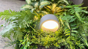 【傑群設計】混合植生牆 - 陽台改造垂直花園 | 大溪公寓私宅