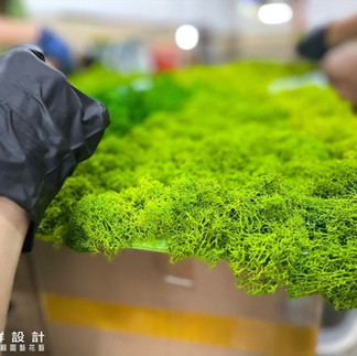 moss苔蘚 苔蘚佈置 馴鹿苔草牆 苔草牆 擬真植物 擬真植物景觀設計 擬真植物牆 人造花 人造植物牆  植物牆 室內空間設計 櫥窗陳列展示 展場設計 舞台設計 店面空間設計 商業空間設計 拍照牆 網美牆 打卡牆 背景牆 招財風水 