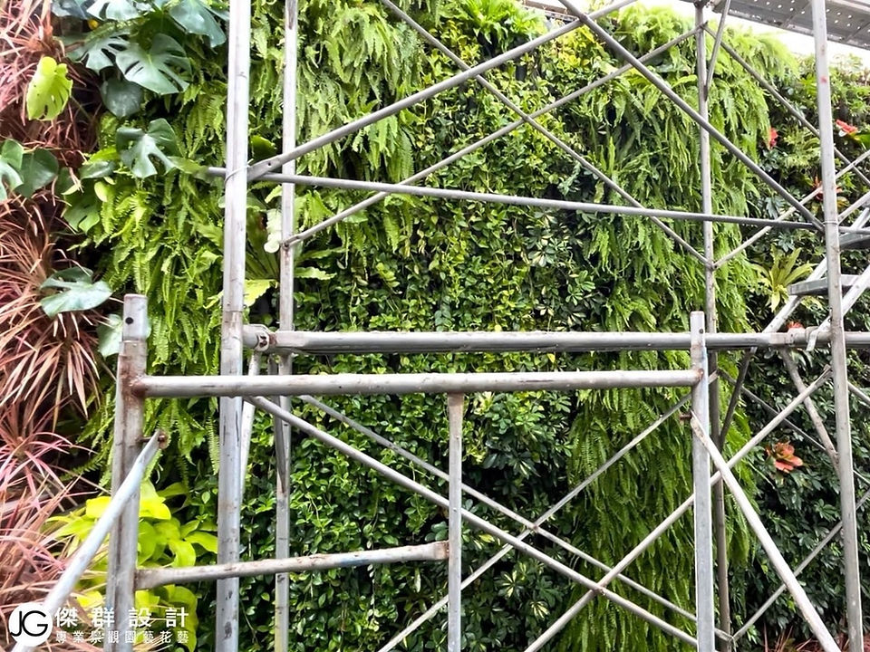 植生牆施工特寫 陽台露台改造綠化植物 汐止社區陽台設計 大型植物牆 2層樓垂直花園 戶外植生牆 綠牆 花牆 景觀園藝花藝設計 庭園庭院設計 室內設計 軟裝設計 陽台佈置 到府施工規劃維護 人造綠牆 植栽牆植物牆推薦 金獎布花園布盆栽 陽台欄杆牆壁花架diy改造費用價格