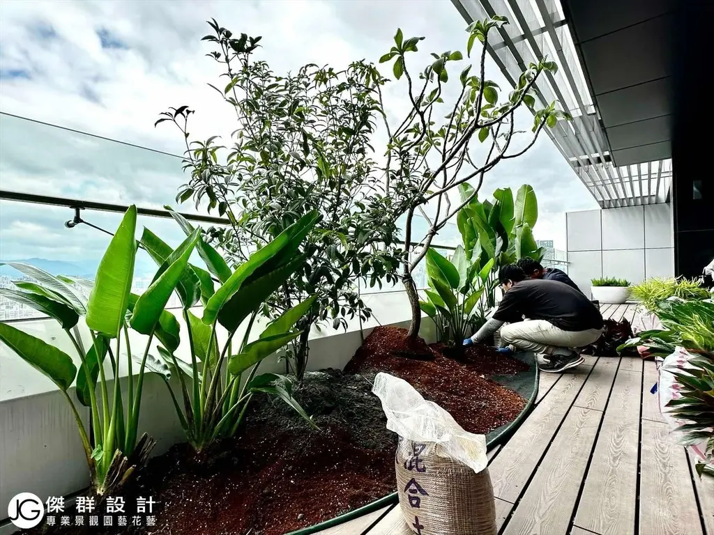 空中花園景觀園藝設計施工種植