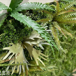 植生牆 牆面綠化 圍牆植物 陽台植物 庭園綠牆 綠牆設計 花牆設計 植栽牆 花藝綠牆 植栽牆 綠牆 花牆 垂直花園 植物牆設計費用