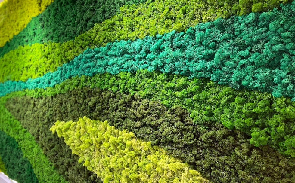 台北新北的園藝景觀造景造園設計公司
丙級乙級設計施工配置圖案例