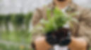 man-florist-working-green-house-s_edited.jpg