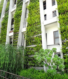 傑群設計 植生牆 大型景觀植生牆 植物牆 嘉義 landscape green wall 天然植生牆 綠牆 垂直花園