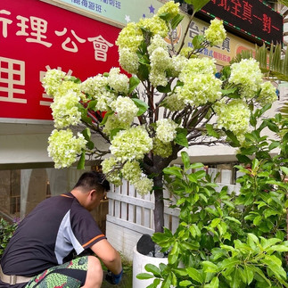 擬真植物, 擬真花, 擬真植物景觀設計, 擬真植物牆, 人造花, 人造樹, 人造植物牆, 假花設計, 永生花景觀設計, 不凋花景觀設計, 人造花植物牆,園藝設計, 園藝造景設計, 園藝報價單, 景觀設計費用, 景觀設計報價, 景觀園藝設計, 園藝造景價格, 台北園藝公司推薦, 庭園造景, 景觀造景, 景觀設計, 景觀工程, 庭園造景設計, 庭園設計,