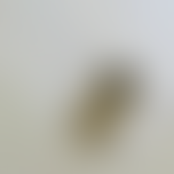 A close-up view showing neat hands holding a white bed sheet with a clean, tan snap-on label that clearly displays "Twin" and "Bottom Right" for easy size identification in a linen closet