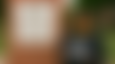 MSW Social Work Personal Historically Black University