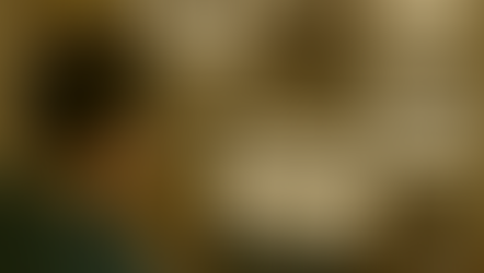 depiction of the brainstorming process for applying to graduate school in Psychology