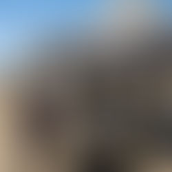 MSW, Military Social Work, Latino