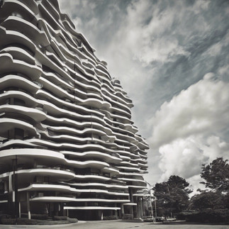 arquitectura fenomenal social