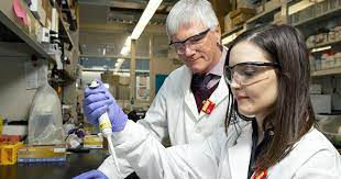 PHD Pharmacy Administration Personal Statement of Purpose, Informatics