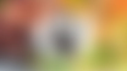 MS Nutritional Science Personal Statement, Asian