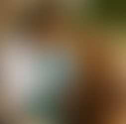 oral health professional treating patient in the Colombian countryside