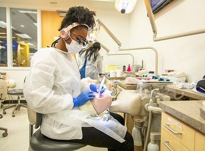 Dental essay editing picture