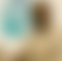 African student of Security Studies in a Baise dress shirt