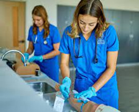 accelerated nursing absn program personal statement