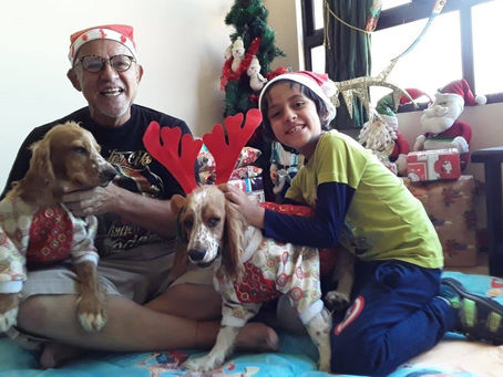 Free Resume/CV Edit with Premium Statement Service until December 31!